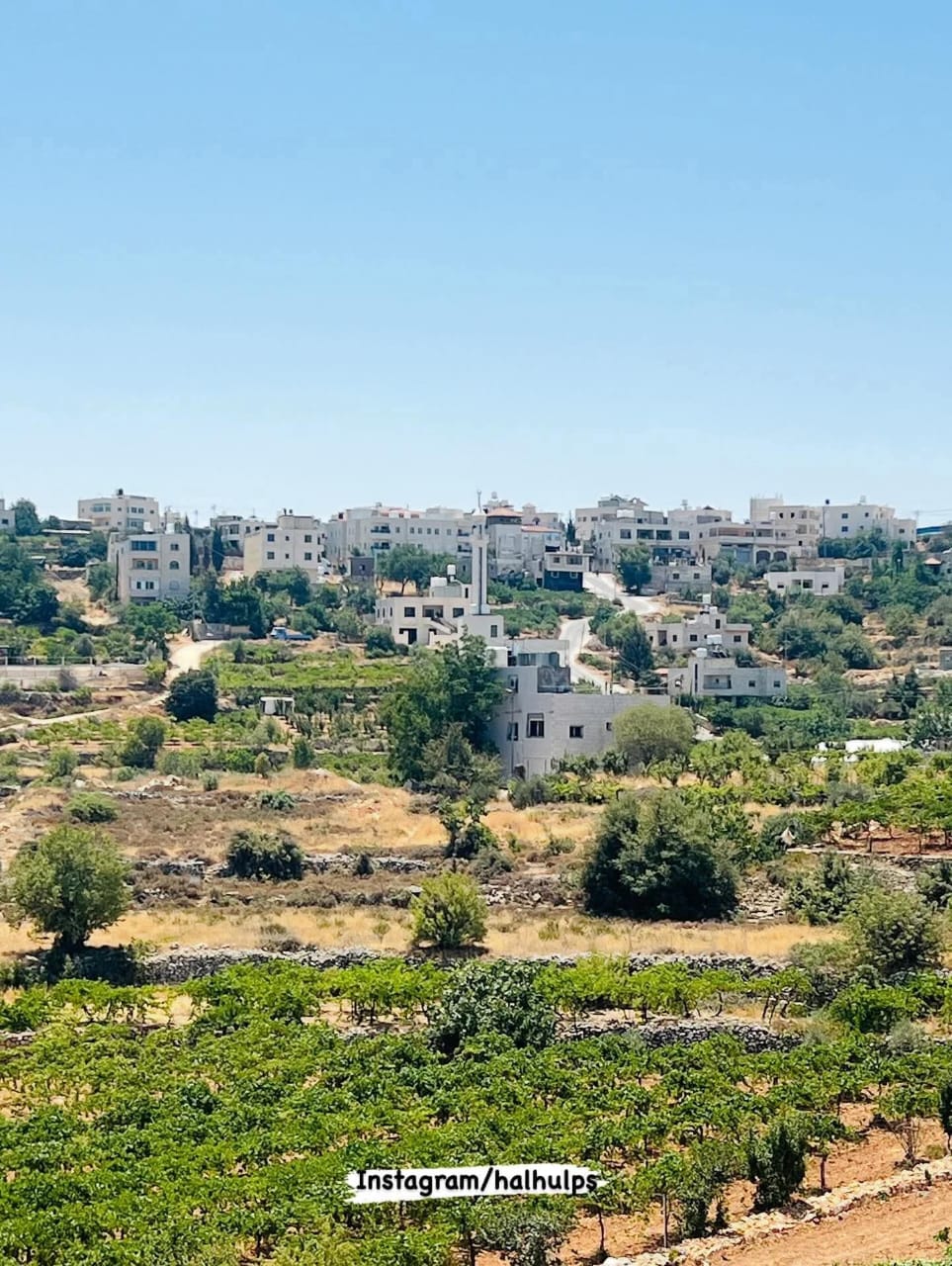 الخليل | موسوعة القرى الفلسطينية